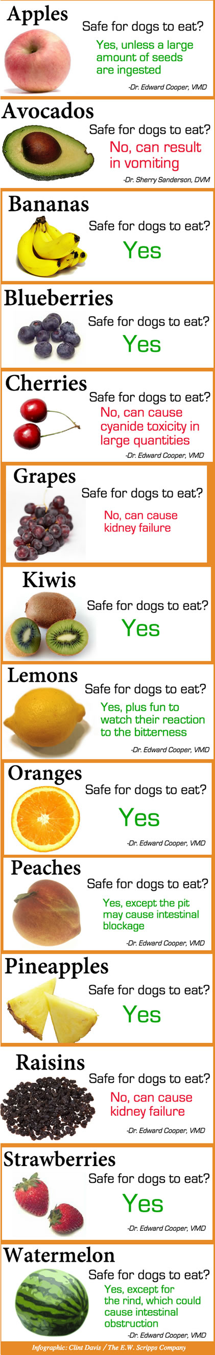 fruits and veggies-dogs